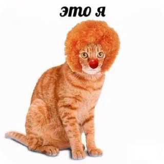 Sticker Из_гой_да @beerbottleconcert - 6