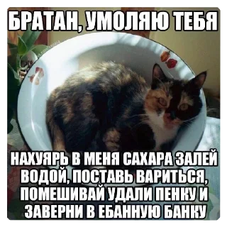 Sticker Из_гой_да @beerbottleconcert - 8