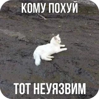 Sticker Из_гой_да @beerbottleconcert - 9