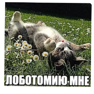 Sticker Из_гой_да @beerbottleconcert - 10