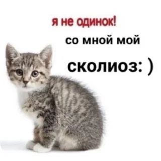 Sticker Из_гой_да @beerbottleconcert - 0