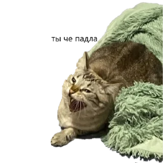 Стикер 2pizza и Израиль - 11