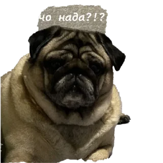 Стикер 2pizza и Израиль - 5