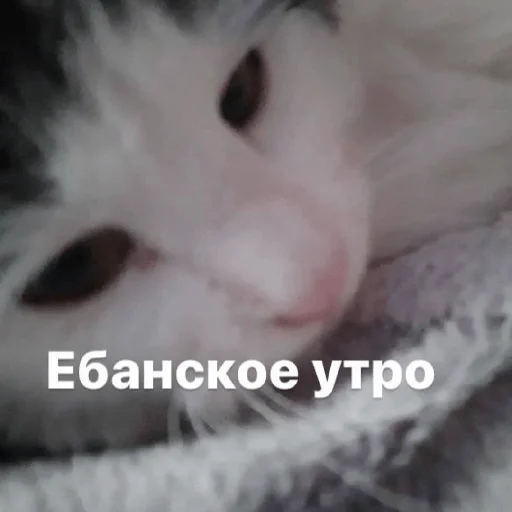 Sticker Изян - 11