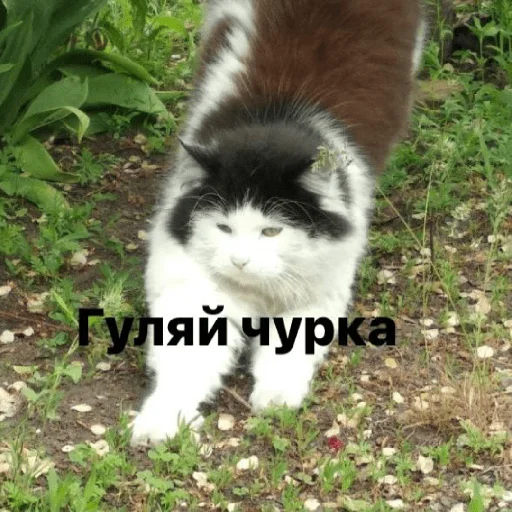 Sticker Изян - 10