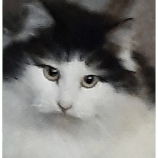 Sticker Изян - 8