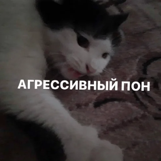 Sticker Изян - 7