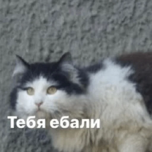 Sticker Изян - 6