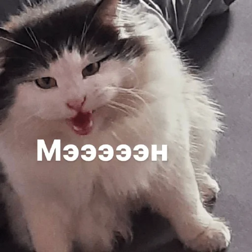 Sticker Изян - 5