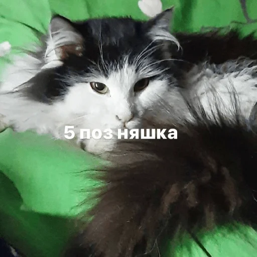 Sticker Изян - 4