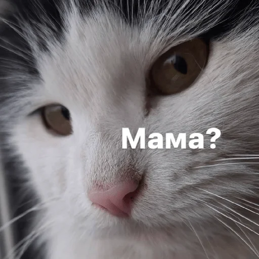 Sticker Изян - 3