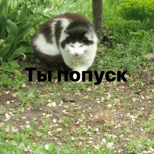 Sticker Изян - 2