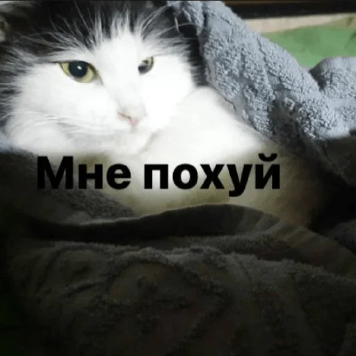 Sticker Изян - 1