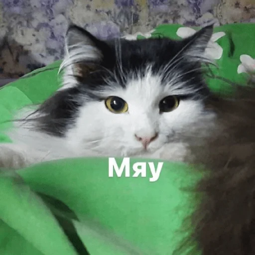 Sticker Изян - 0