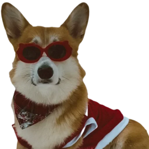 Sticker Сэмик by @stqrapp - 8