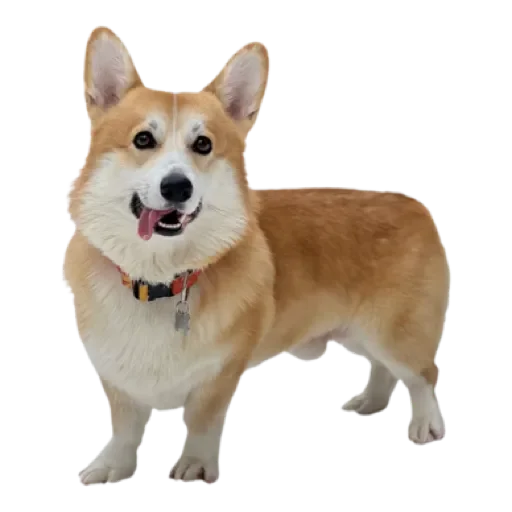 Sticker Сэмик by @stqrapp - 7