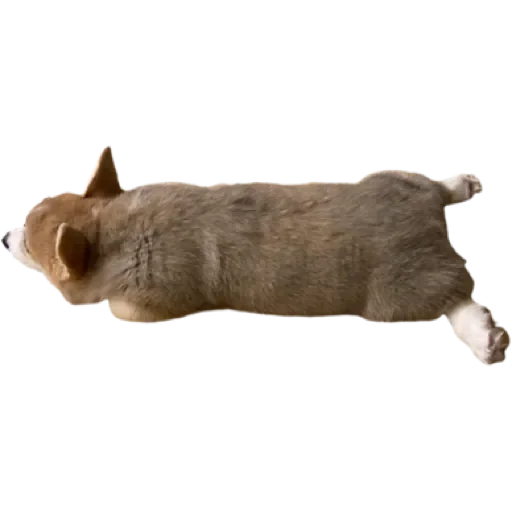 Sticker Сэмик by @stqrapp - 5