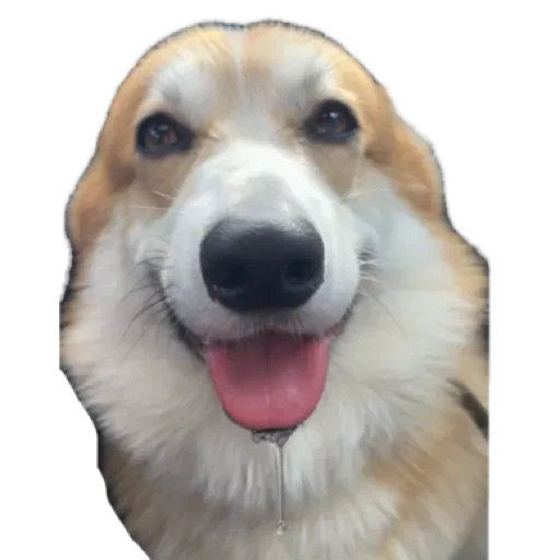 Сэмик by @stqrapp - 