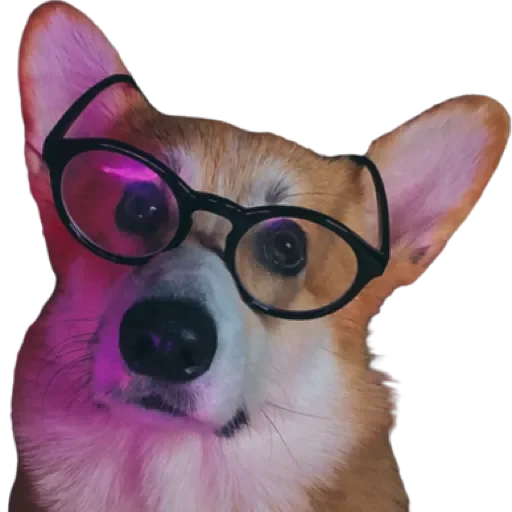 Sticker Сэмик by @stqrapp - 1