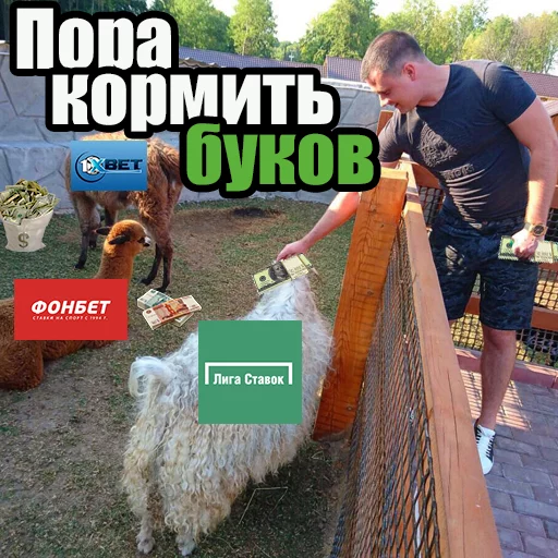 Sticker JBFIASCO - 1