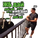 Стикер ЖБFIASCO - 1