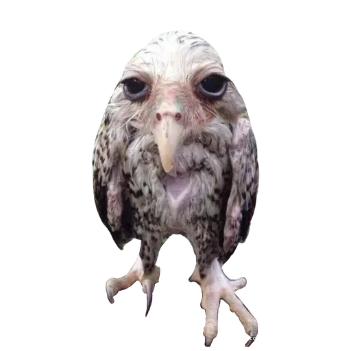 Больше стиков тут: @stikeryk - 