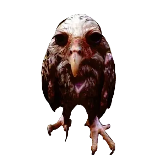 Sticker Больше стиков тут: @stikeryk - 3