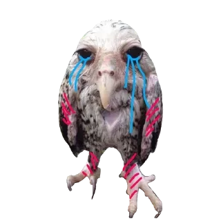 Sticker Больше стиков тут: @stikeryk - 2