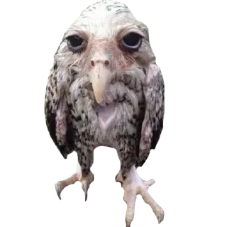 Sticker Больше стиков тут: @stikeryk - 8