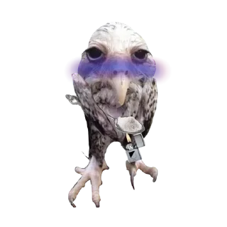 Sticker Больше стиков тут: @stikeryk - 0