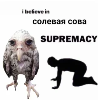 Sticker Больше стиков тут: @stikeryk - 4