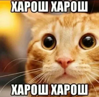 Sticker Рандом - 3