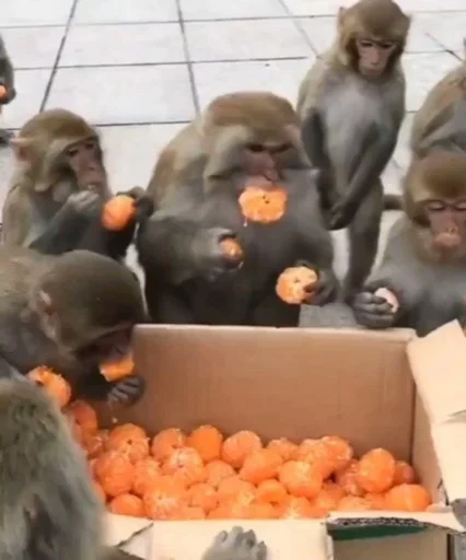 Sticker JDGAJSGZI - 1