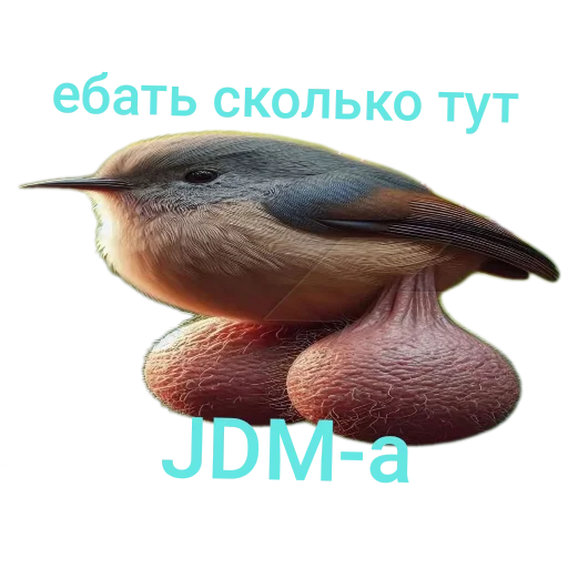 Sticker JDMBlyaha - 1