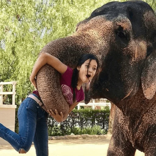 Стикер JENNAAOO - 1