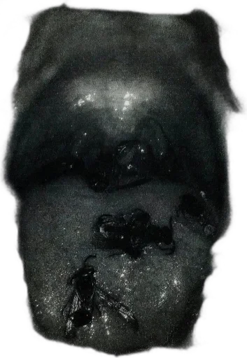 Sticker JESUSSERIOUS - 1