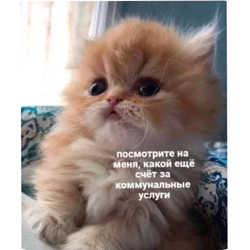 Sticker JEhSXGTprc_by_Sticker363728bot - 1