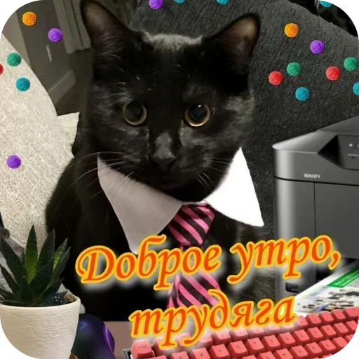 Sticker JEhSXGTprc_by_Sticker363728bot - 1