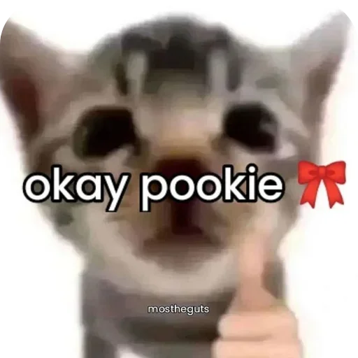 Sticker JEhSXGTprc_by_Sticker363728bot - 1