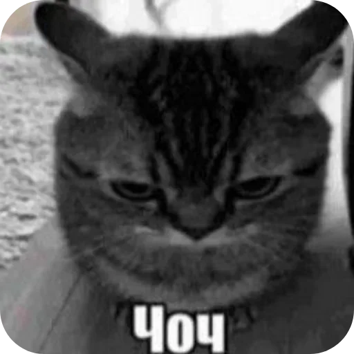 Sticker JEhSXGTprc_by_Sticker363728bot - 1