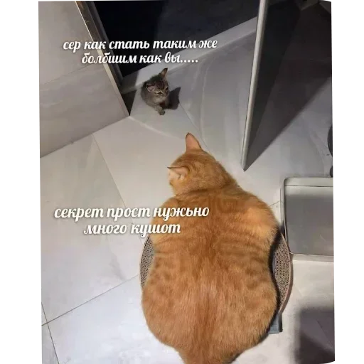 Sticker JEhSXGTprc_by_Sticker363728bot - 1