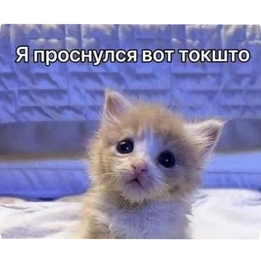 Стикер JEhSXGTprc_by_Sticker363728bot - 1