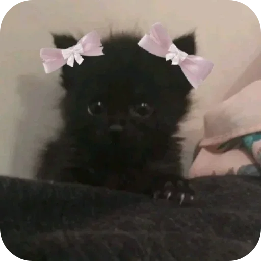 Sticker JEhSXGTprc_by_Sticker363728bot - 1