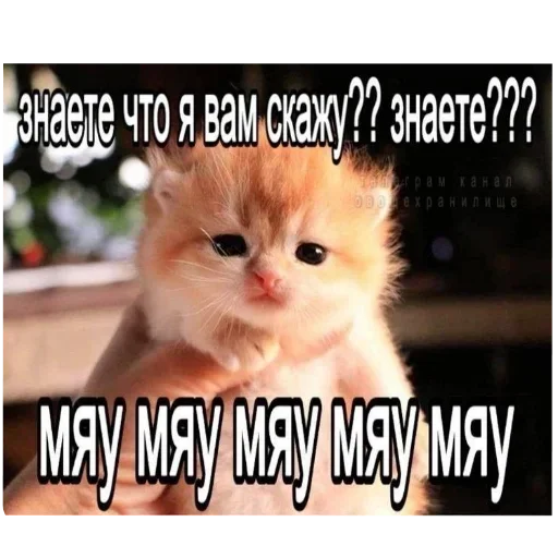 Sticker JEhSXGTprc_by_Sticker363728bot - 1