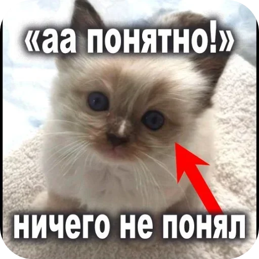 Sticker JEhSXGTprc_by_Sticker363728bot - 1