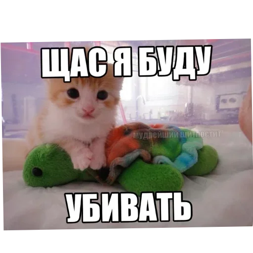 Стикер JEhSXGTprc_by_Sticker363728bot - 1