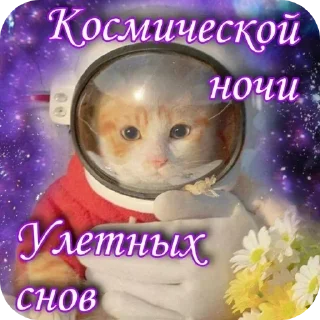 Sticker @stickeri_tg 💋<-- стикеры тут - 6