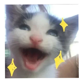 Sticker @stickeri_tg 💋<-- стикеры тут - 5