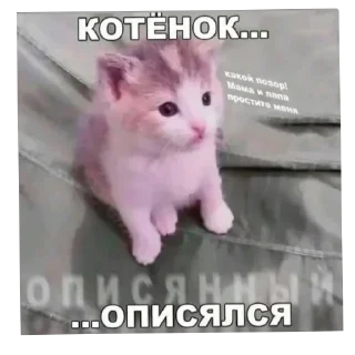 Sticker @stickeri_tg 💋<-- стикеры тут - 7