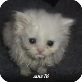 Sticker @stickeri_tg 💋<-- стикеры тут - 2